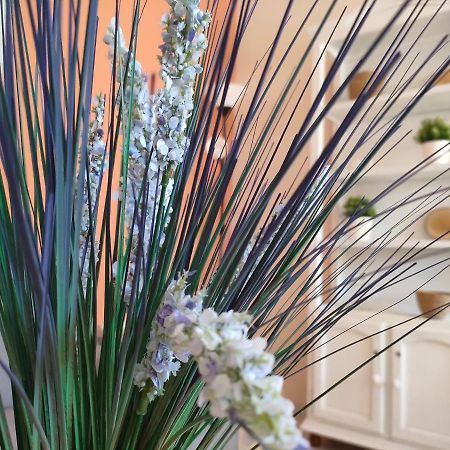 Apartamento 6 De Mayo Ронда Екстериор снимка